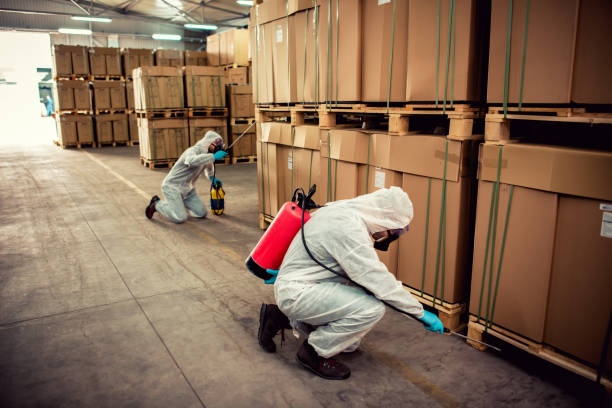 Pest Prevention Services in Brandenburg, KY