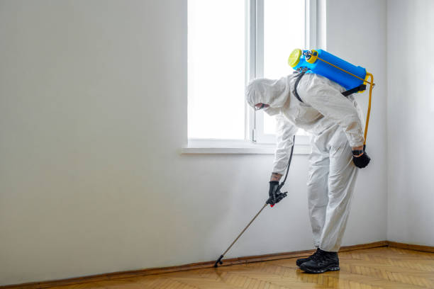 Professional Pest Control in Brandenburg, KY