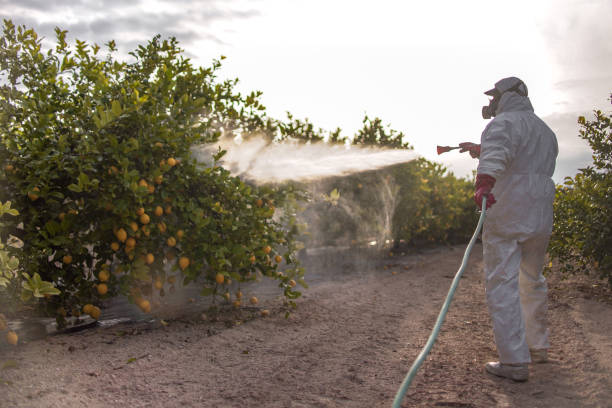 Best Commercial Pest Control Services  in Brandenburg, KY