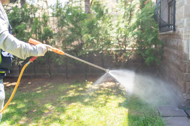 Best Flea Control Services  in Brandenburg, KY