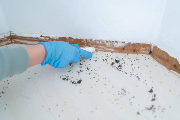 Best Exterminator Services  in Brandenburg, KY