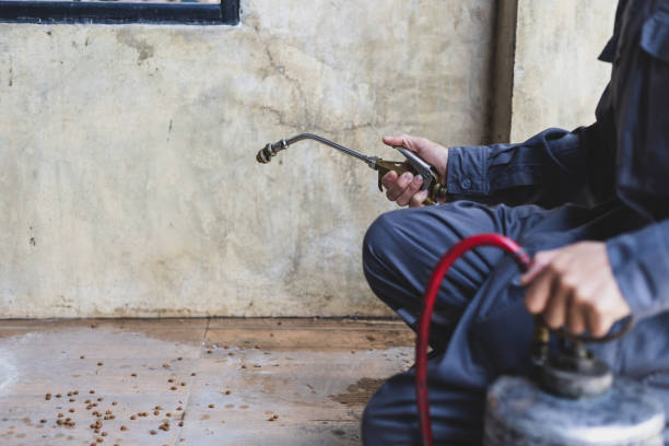 Best Pest Control for Homes  in Brandenburg, KY